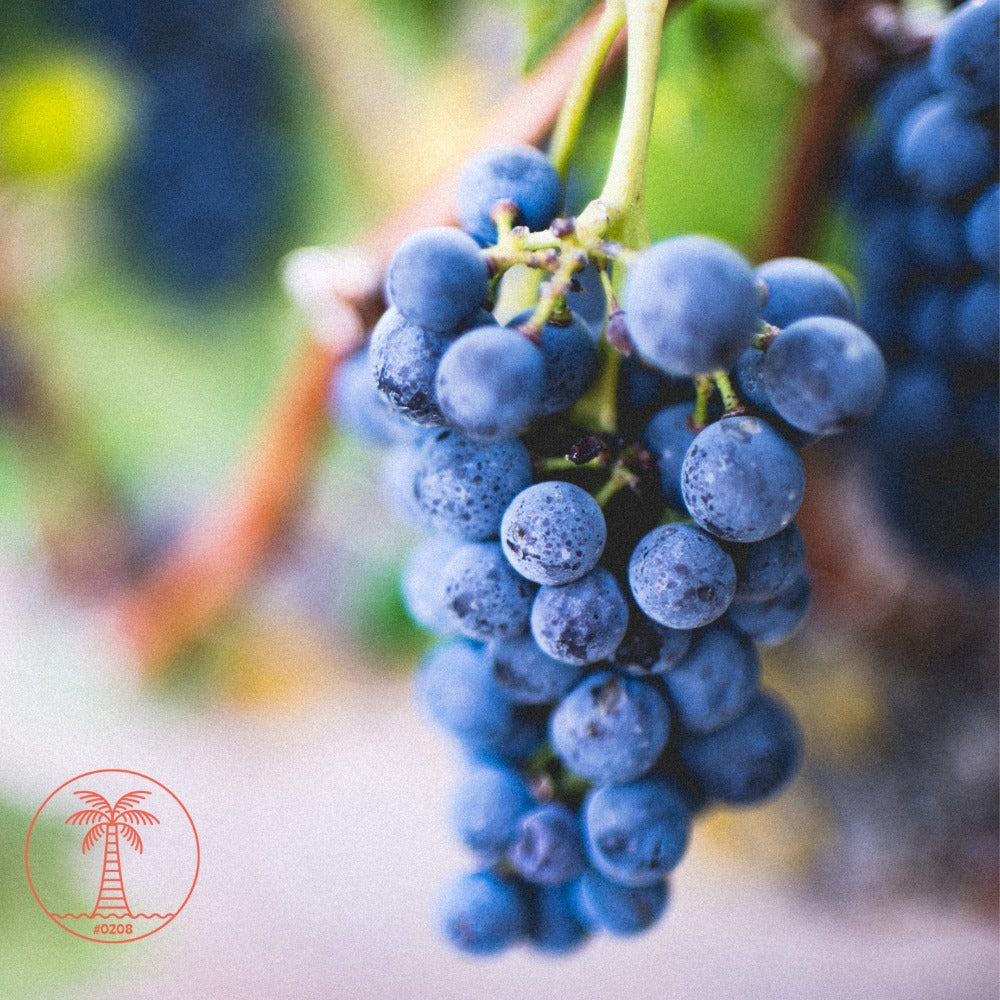 Black Grapes
