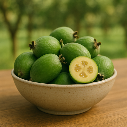 Feijoa