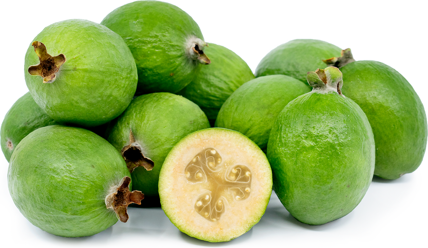 Feijoa