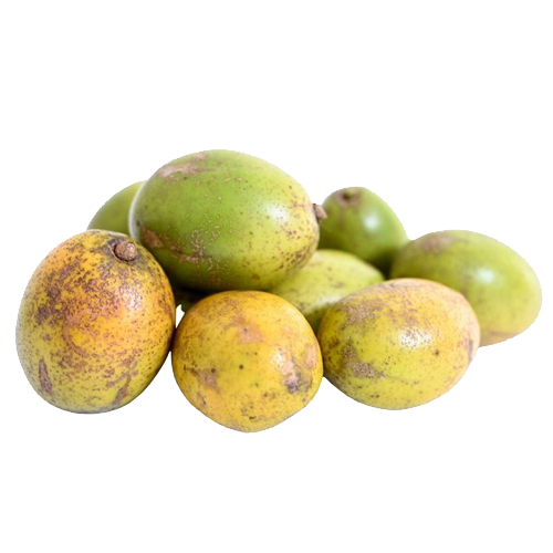 Golden Apple - June Plum