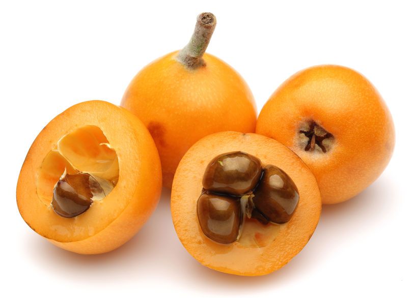 Loquat Sf Loquat – Tropical Box UK