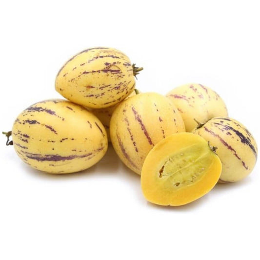 Pepino Melon