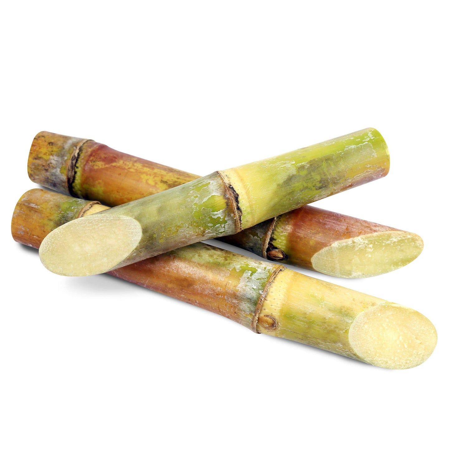 Sugar Cane