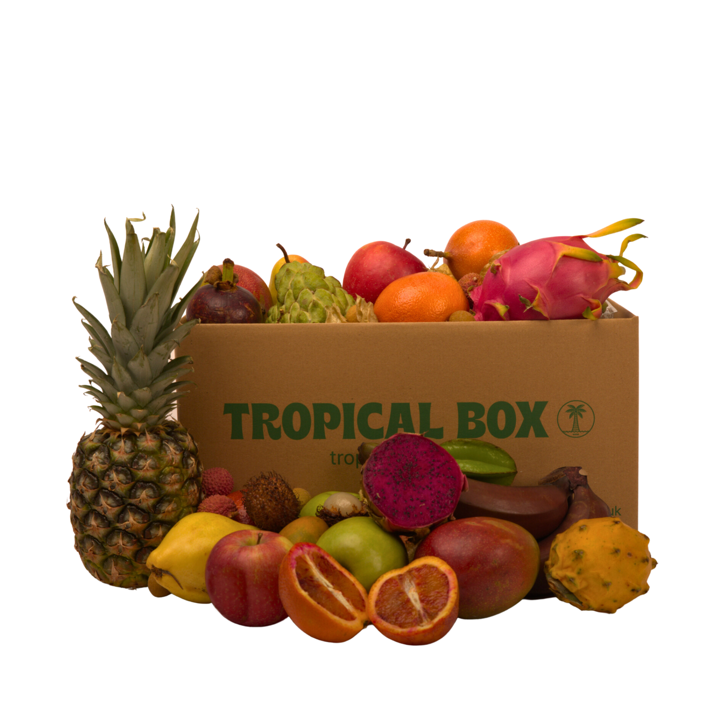 Medium Tropical Box