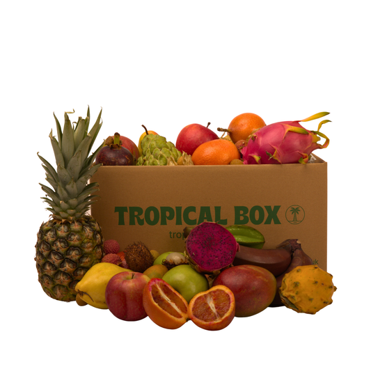 Medium Tropical Box