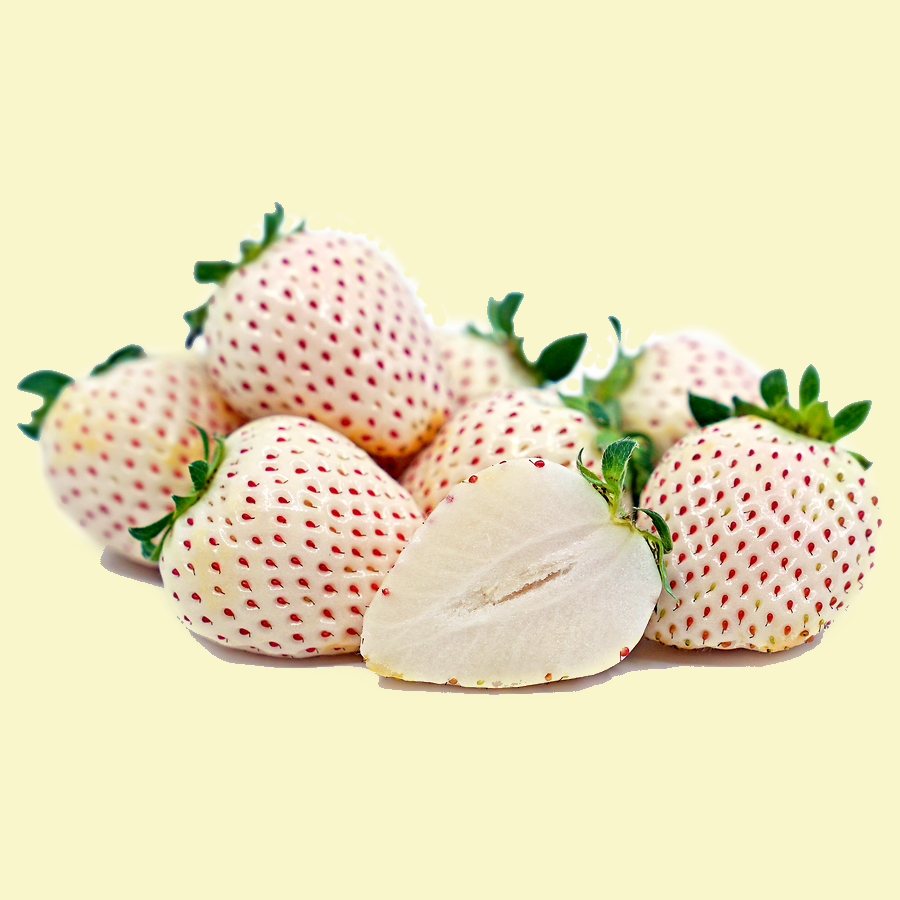 Pineberry