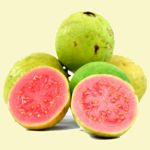 Guava