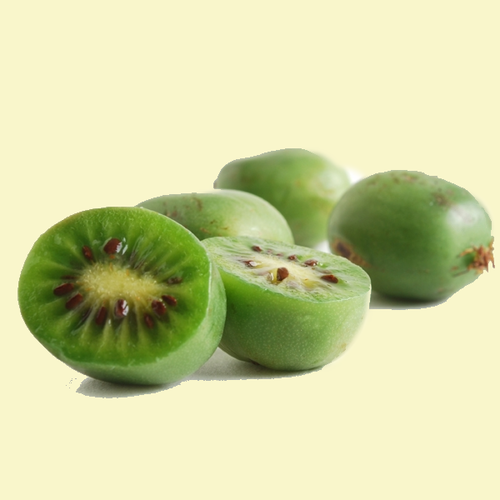 Kiwi Berry